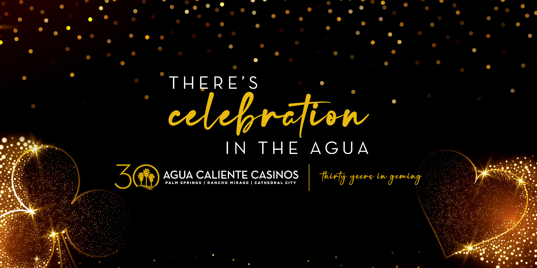 Palm Springs 30th Anniversary